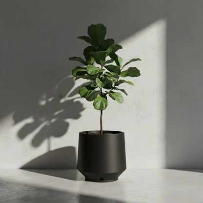 Maceta Bosco Vignola 56 L Grande con Plato