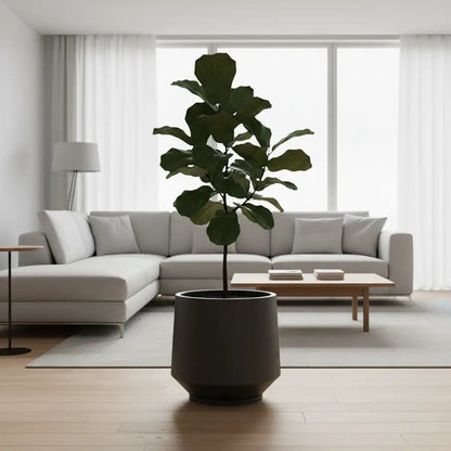 Maceta Bosco Vignola 56 L Grande con Plato