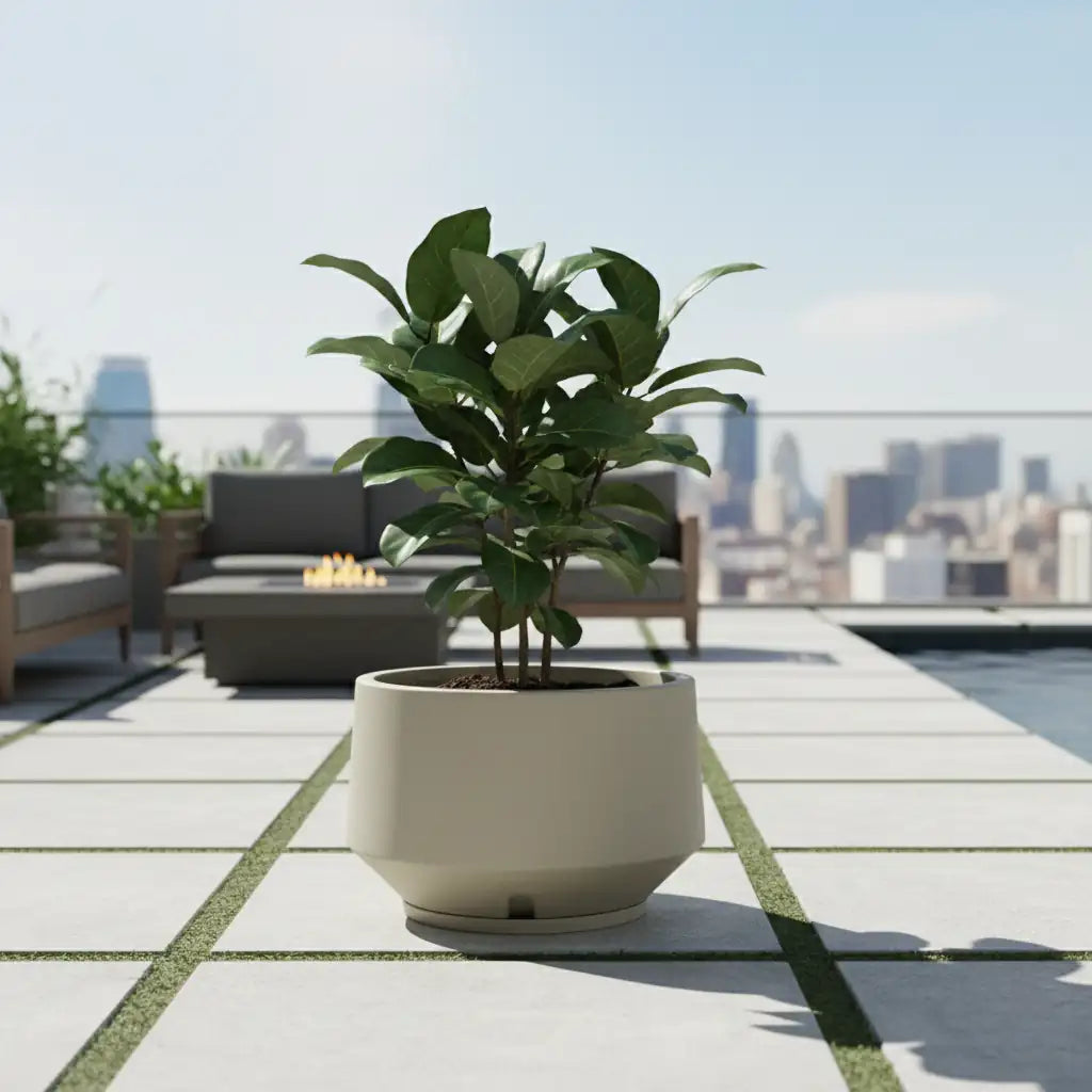 Maceta Bosco Vignola 38 L Mediana con Plato