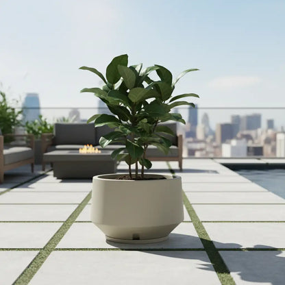 Maceta Bosco Vignola 38 L Mediana con Plato