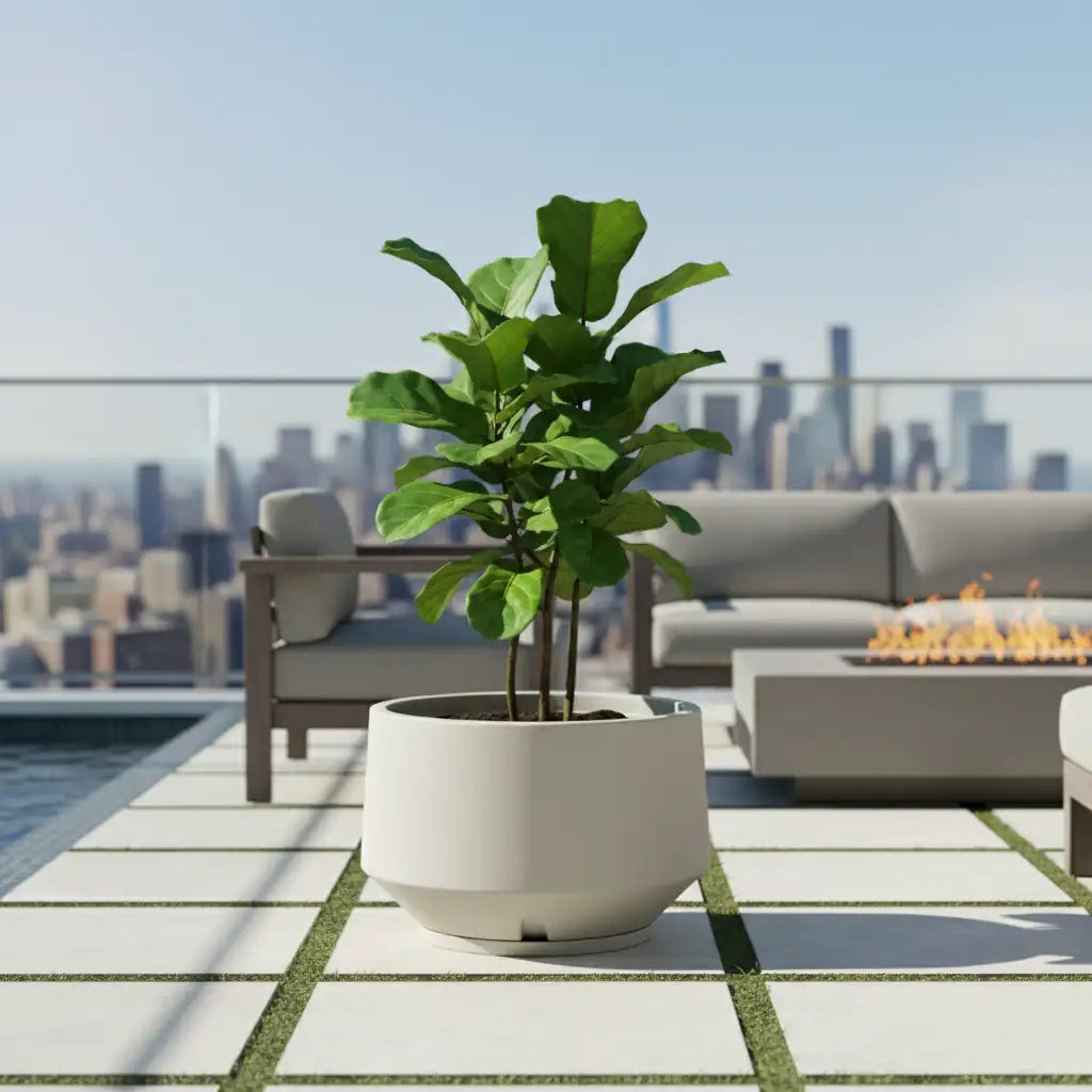 Maceta Bosco Vignola 38 L Mediana con Plato