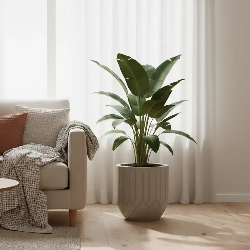 Maceta Bosco Termini 21 L Mediana con Plato