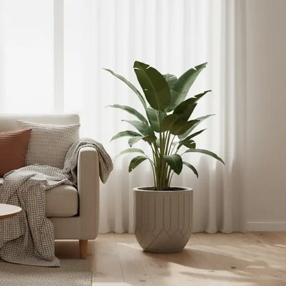 Maceta Bosco Termini 21 L Mediana con Plato