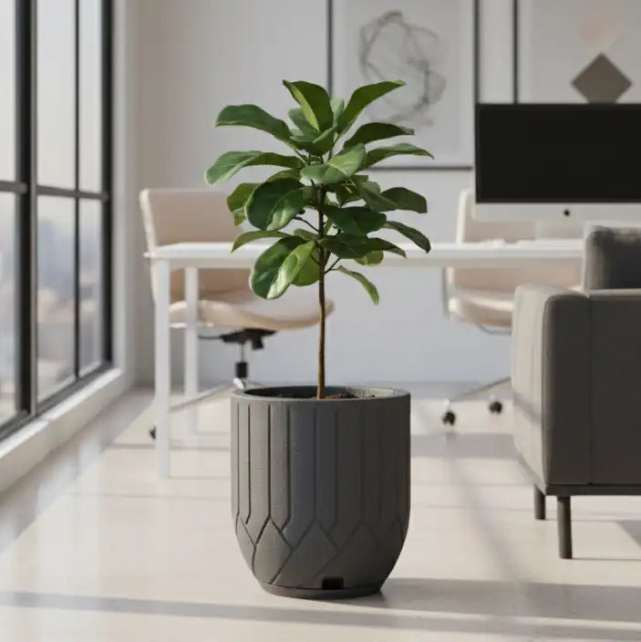 Maceta Bosco Termini 21 L Mediana con Plato