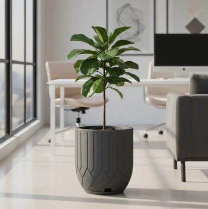 Maceta Bosco Termini 21 L Mediana con Plato