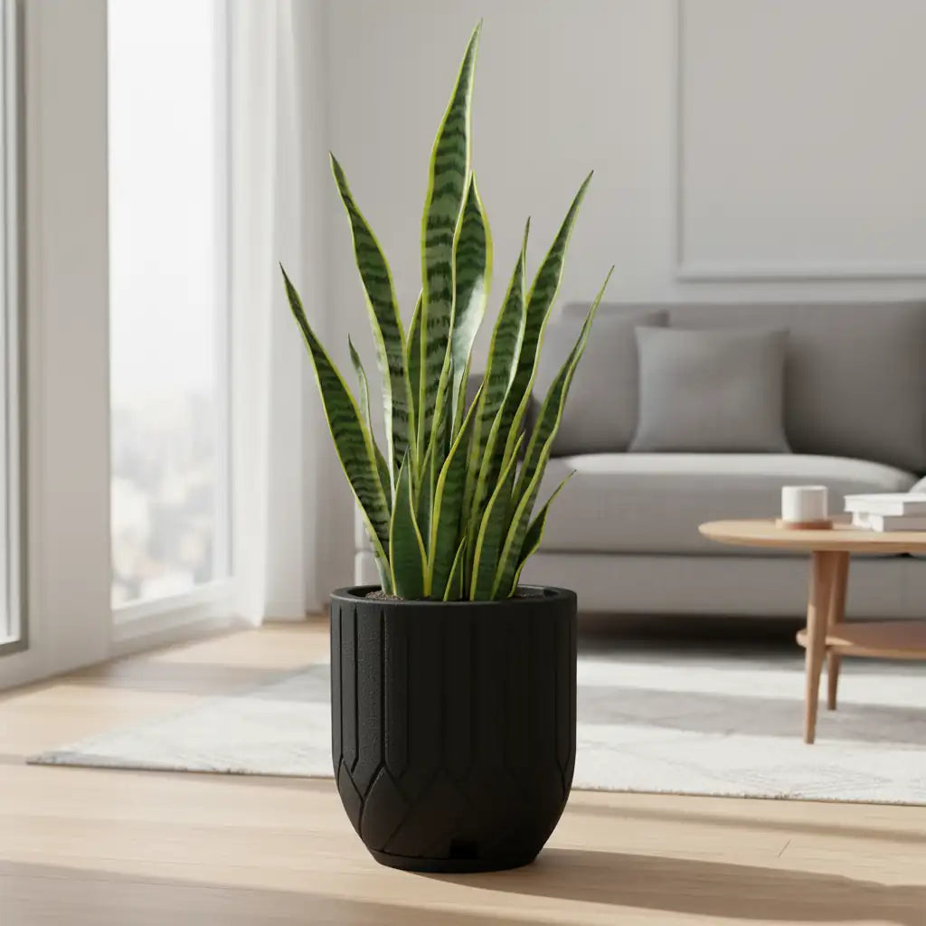 Maceta Bosco Termini 21 L Mediana con Plato