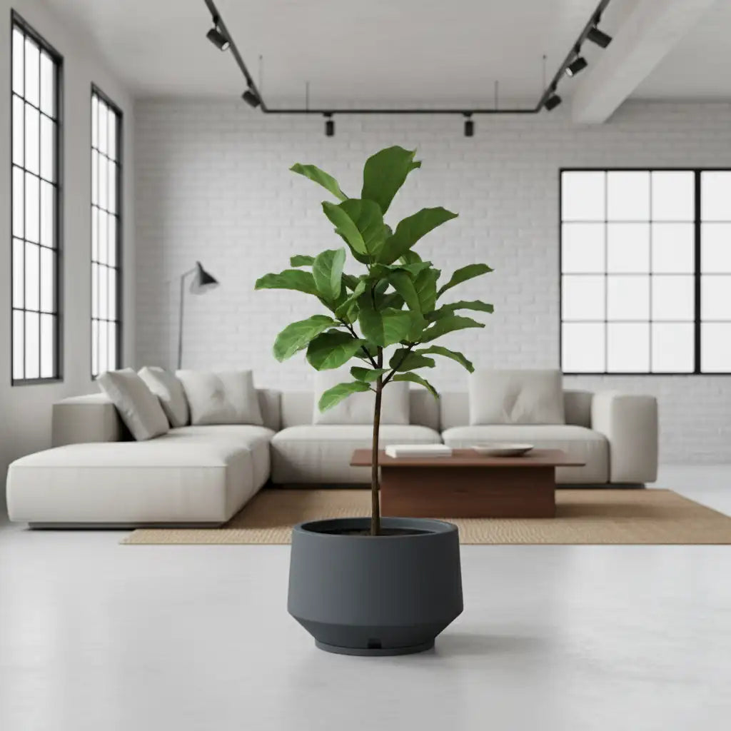 Maceta Bosco Vignola 38 L Mediana con Plato