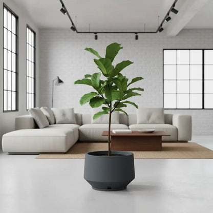 Maceta Bosco Vignola 38 L Mediana con Plato