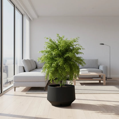 Maceta Bosco Vignola 38 L Mediana con Plato