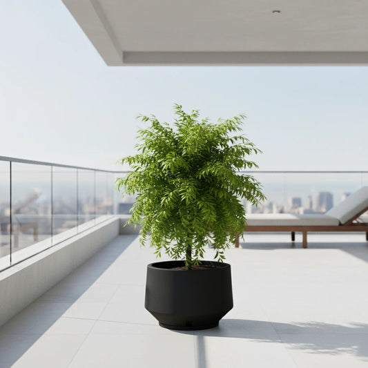 Maceta Bosco Vignola 38 L Mediana con Plato