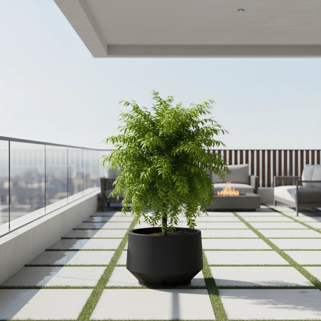 Maceta Bosco Vignola 38 L Mediana con Plato