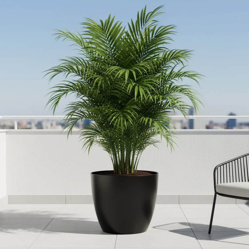 Maceta Bosco - Umbra 18 L