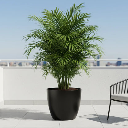 Maceta Bosco - Umbra 18 L