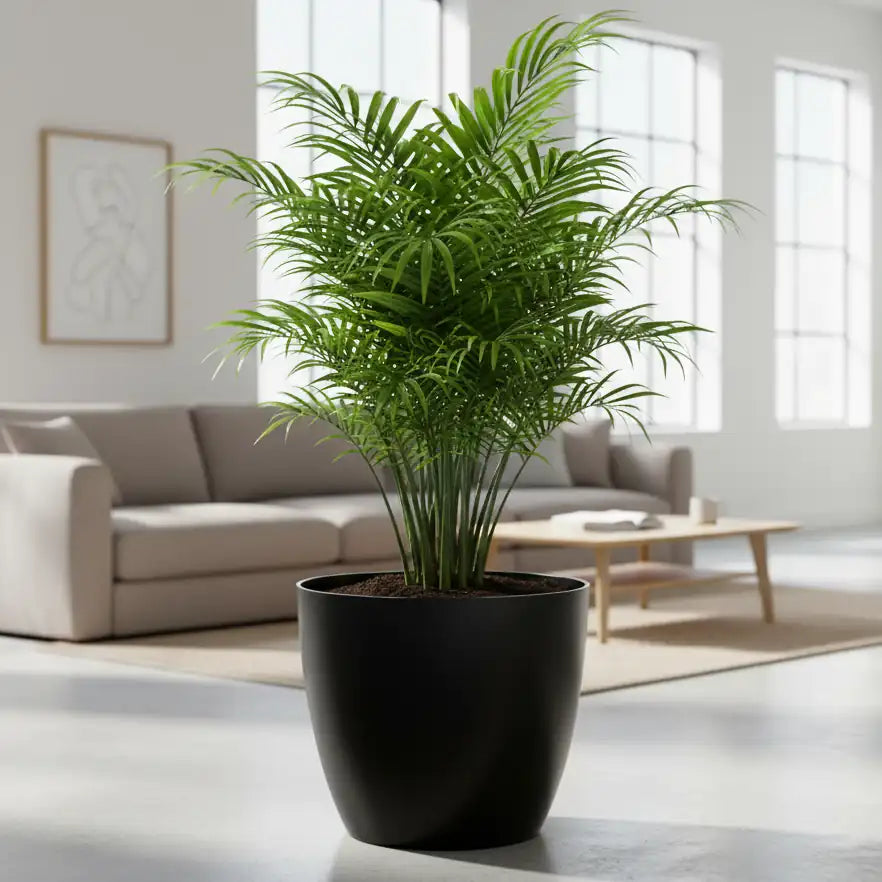 Maceta Bosco - Umbra 18 L