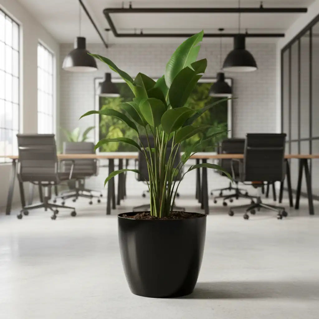 Maceta Bosco - Umbra 18 L