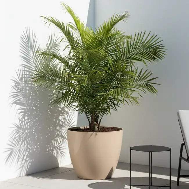 Maceta Bosco - Umbra 18 L