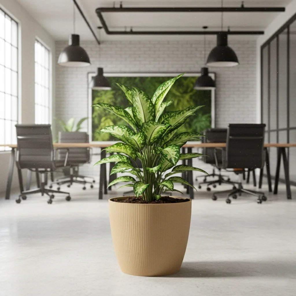 Maceta Bosco - Vercelli 18 L