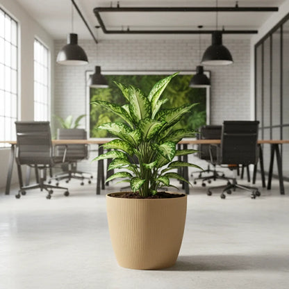 Maceta Bosco - Vercelli 18 L