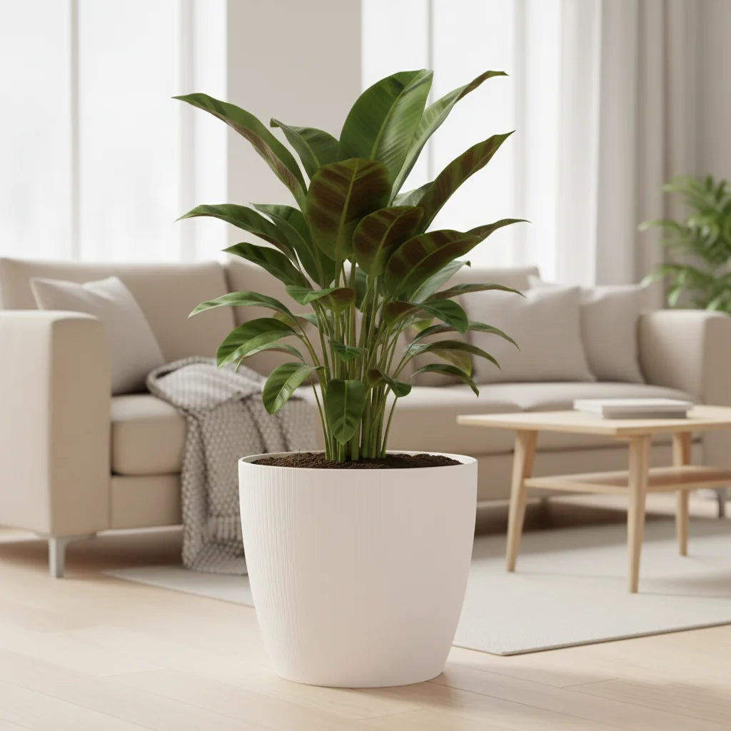 Maceta Bosco - Vercelli 18 L