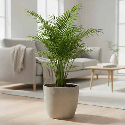 Maceta Bosco - Vercelli 18 L