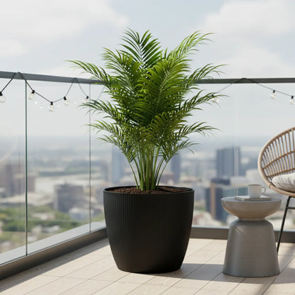 Maceta Bosco - Vercelli 18 L