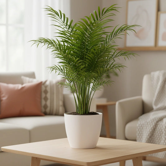 Maceta de interior Umbra 22 Bosco | Diseño minimalista